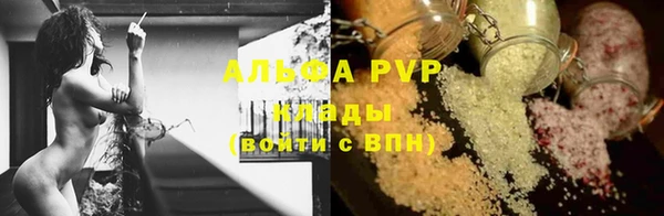 прущие крисы Аркадак