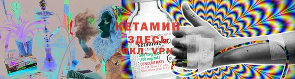 прущие крисы Аркадак